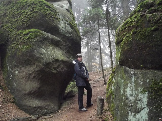 img00062.jpg