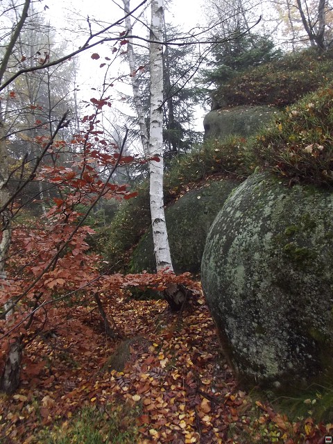 img00063.jpg