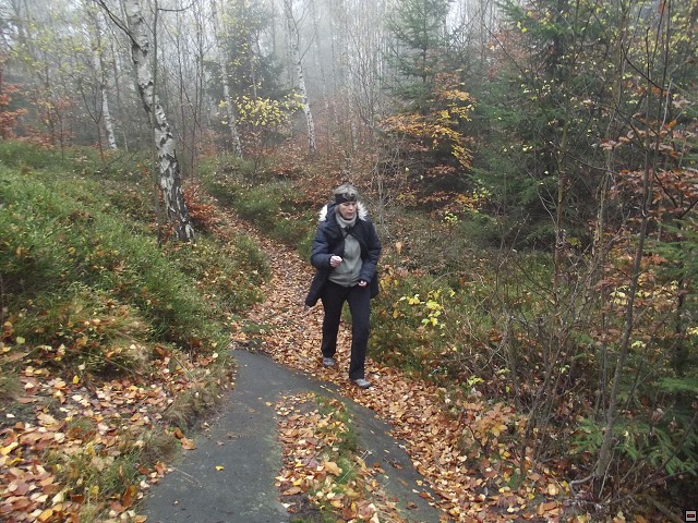 img00064.jpg