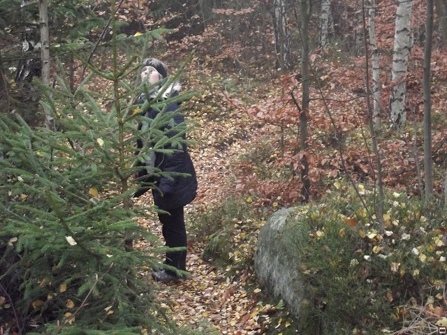 img00067.jpg