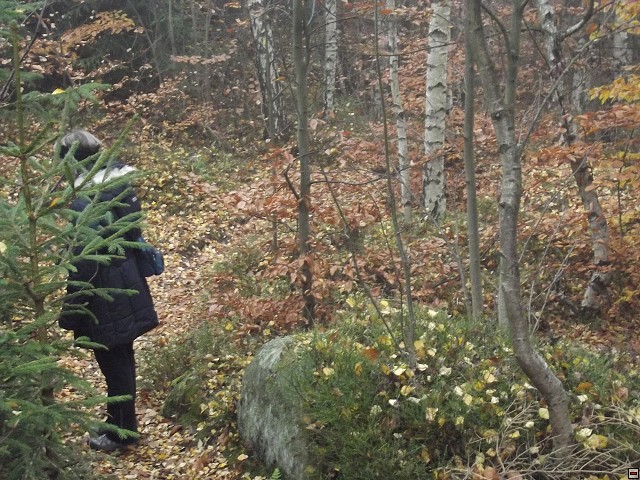 img00068.jpg