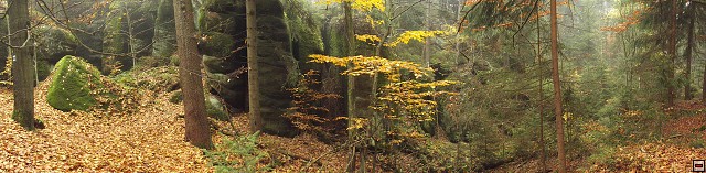 img00069.jpg