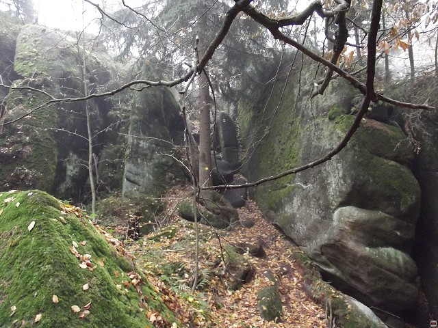 img00070.jpg
