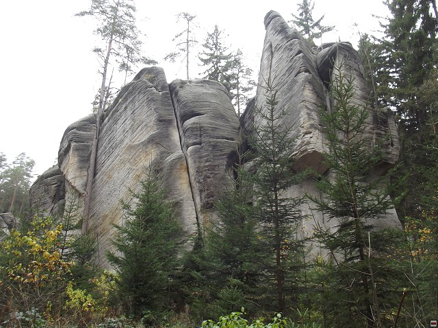 img00099.jpg