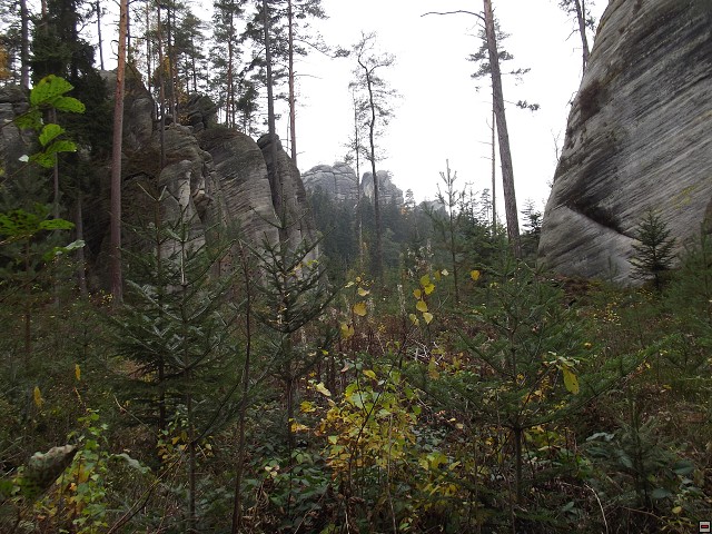 img00100.jpg