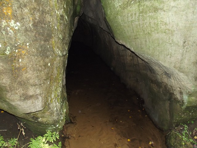 img00101.jpg