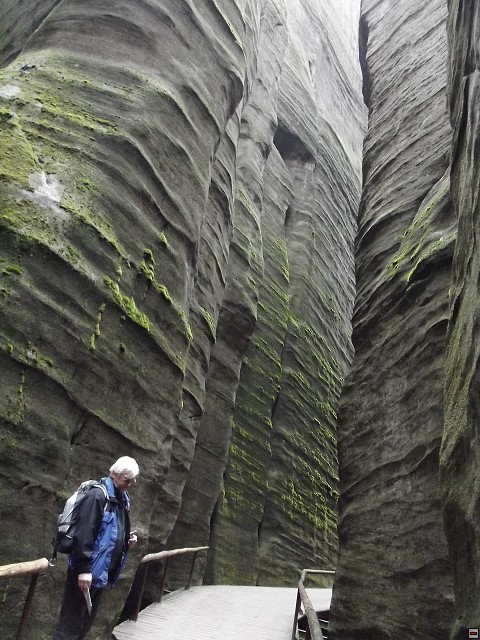 img00103.jpg