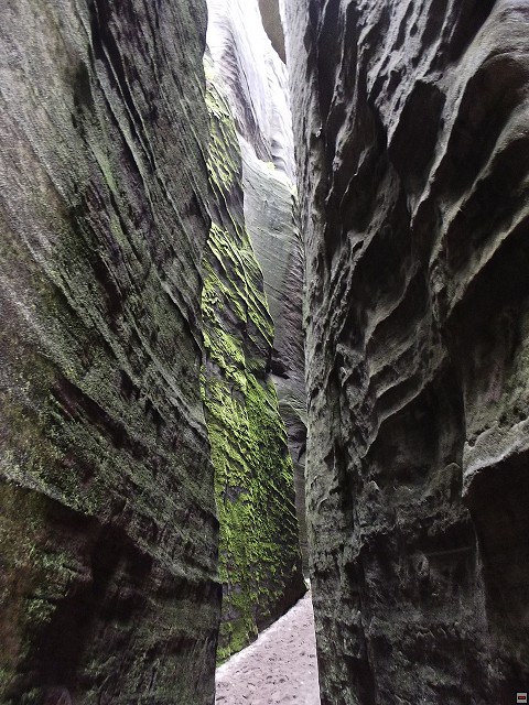img00104.jpg