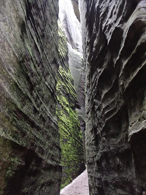img00105.jpg