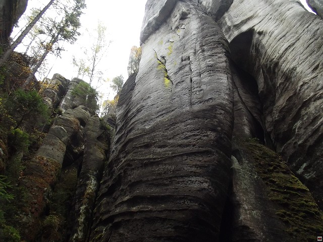 img00106.jpg