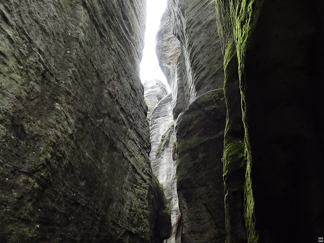 img00107.jpg