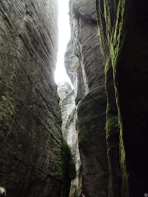 img00108.jpg