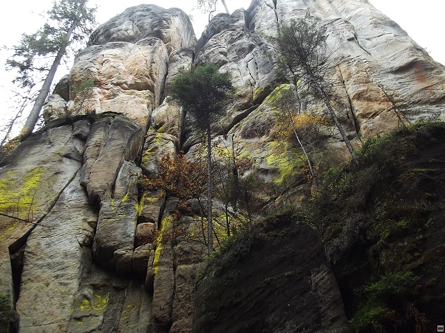 img00111.jpg