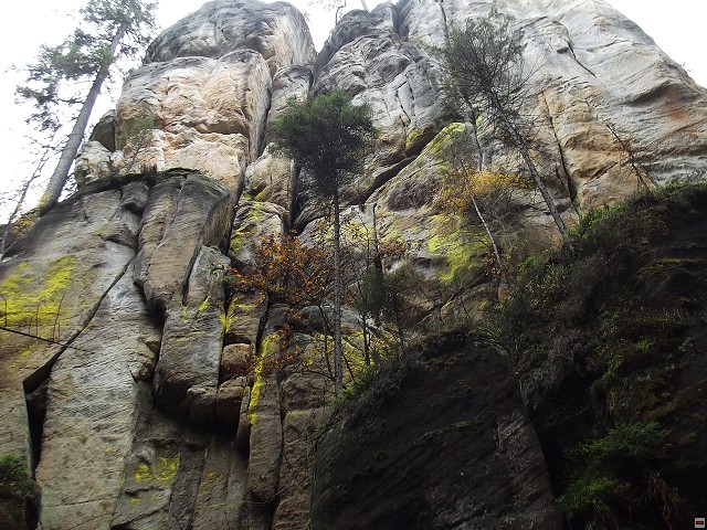 img00112.jpg