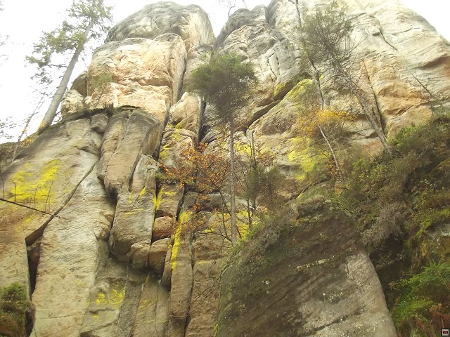 img00113.jpg