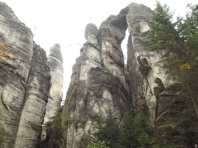 img00115.jpg