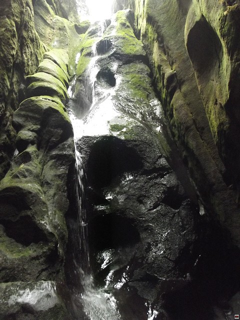img00118.jpg