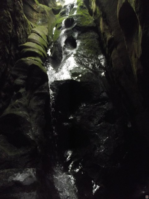 img00119.jpg