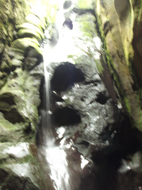 img00122.jpg