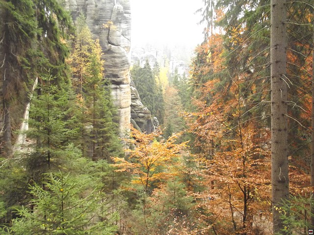 img00125.jpg