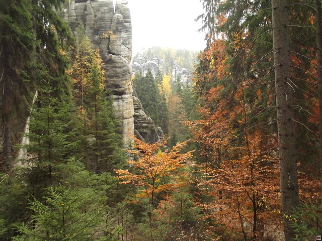 img00126.jpg