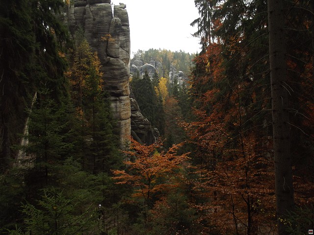 img00127.jpg