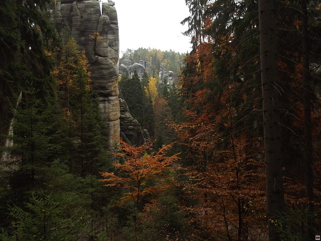 img00128.jpg