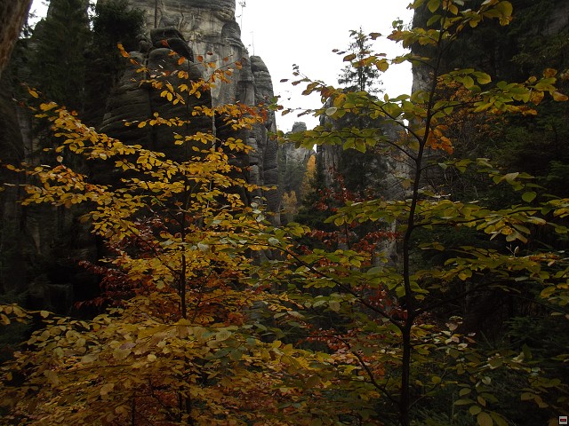 img00129.jpg