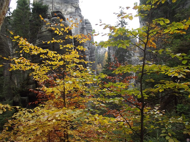 img00130.jpg