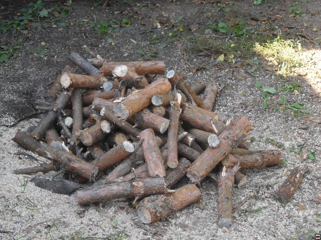 img00013.jpg