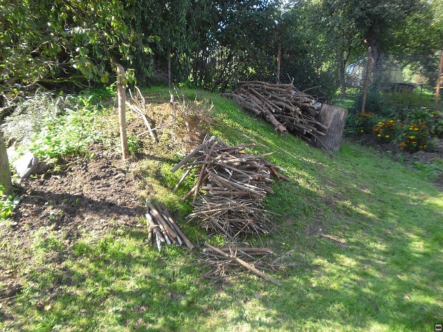 img00015.jpg