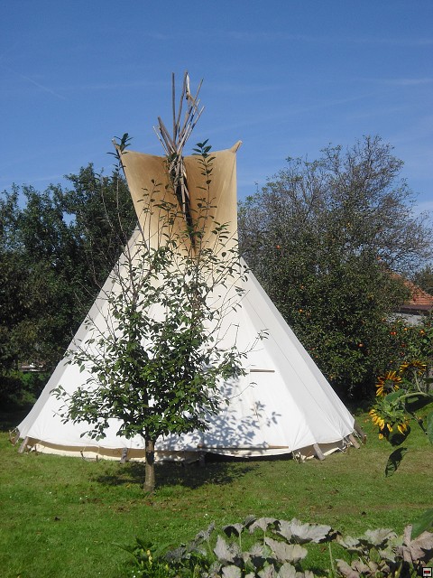 img00016.jpg