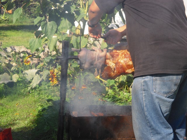 img00070.jpg
