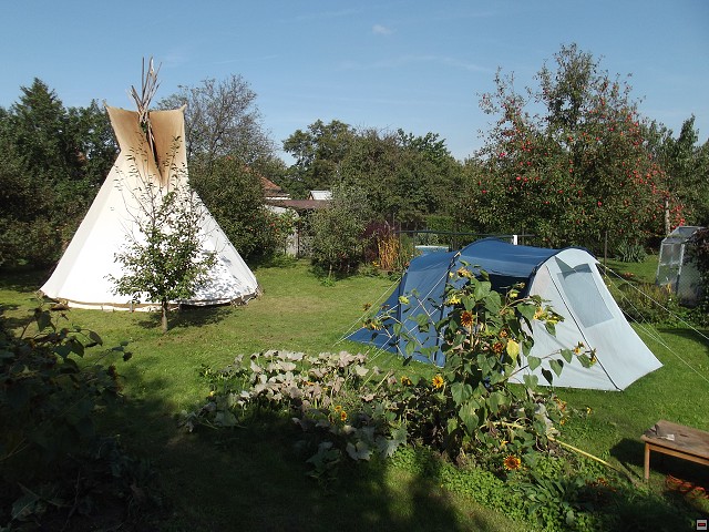 img00101.jpg