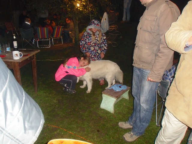img00230.jpg