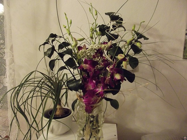 img00292.jpg