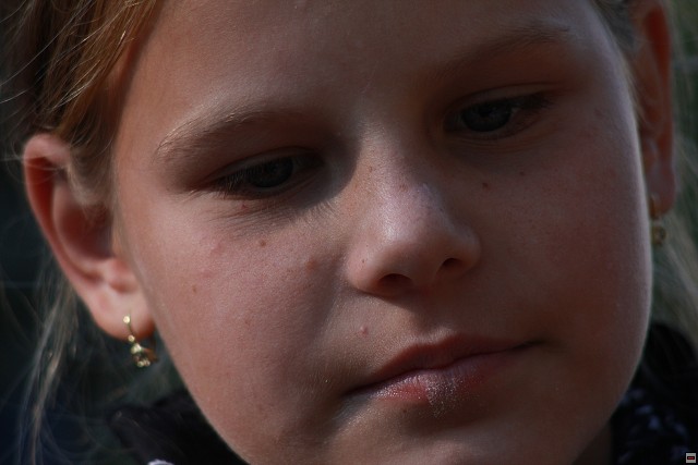 img00050.jpg