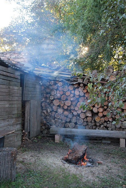 img00073.jpg