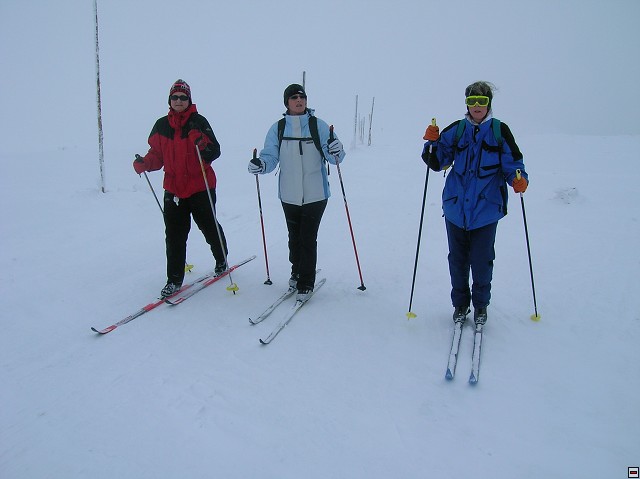 img00008.jpg