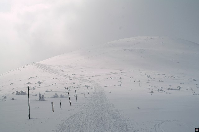 img00012.jpg