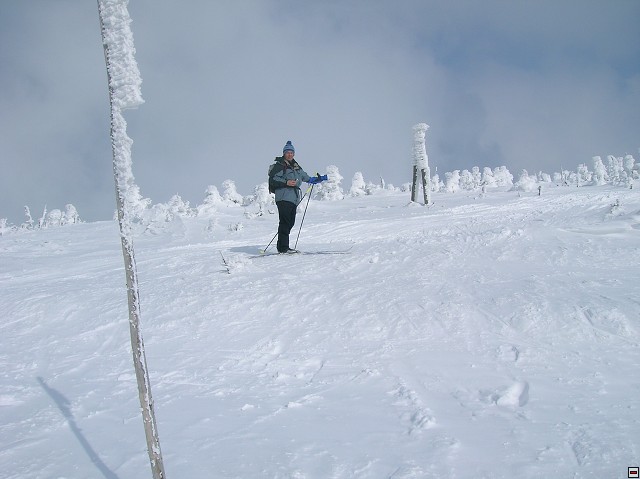 img00015.jpg