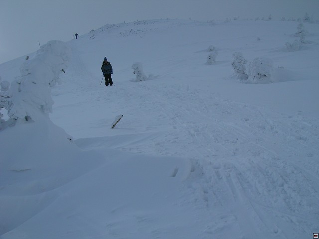 img00017.jpg