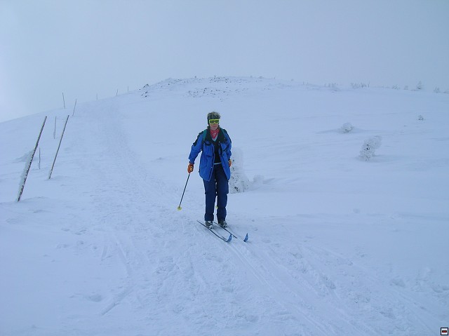 img00019.jpg