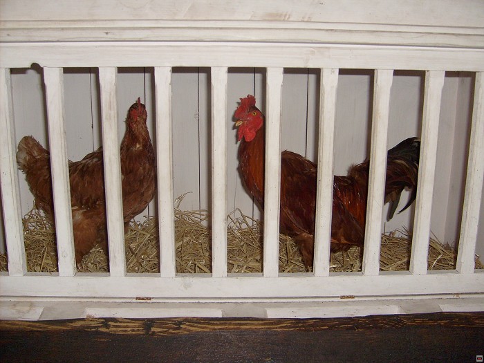 img00051.jpg
