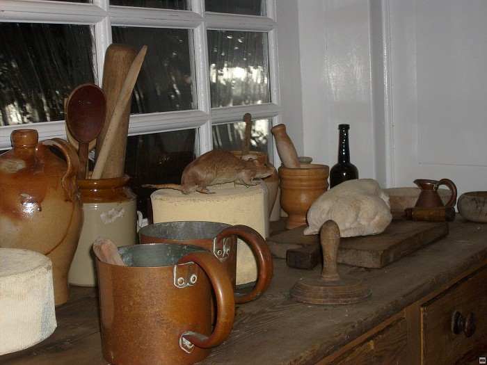 img00057.jpg