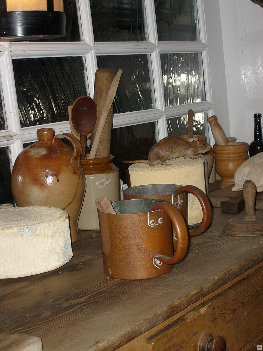 img00058.jpg