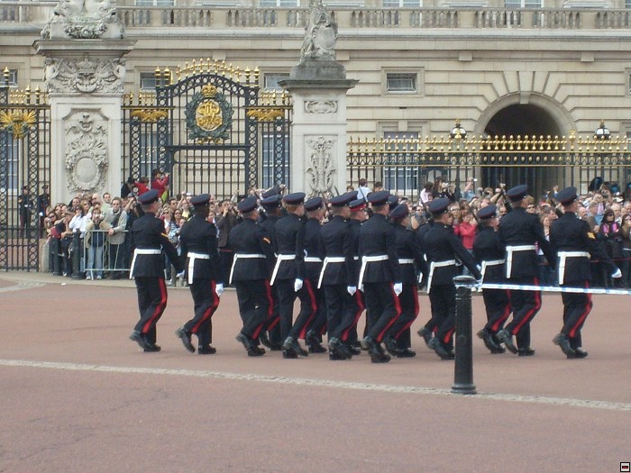 img00090.jpg