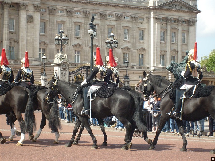 img00093.jpg