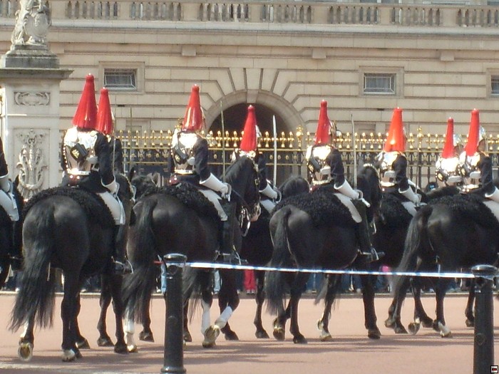 img00094.jpg