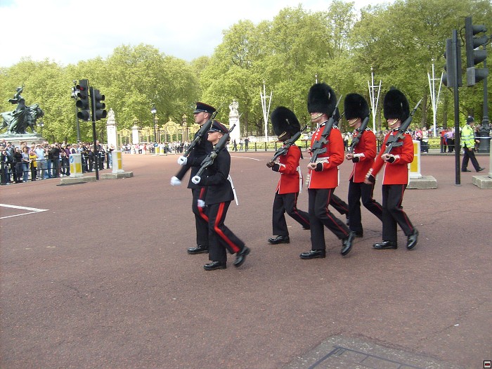 img00096.jpg